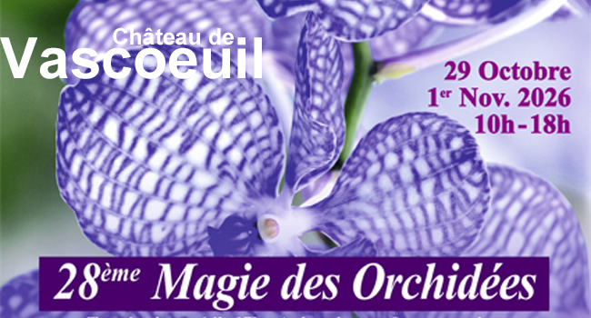 Expo orchidées Vascoeuil 2026